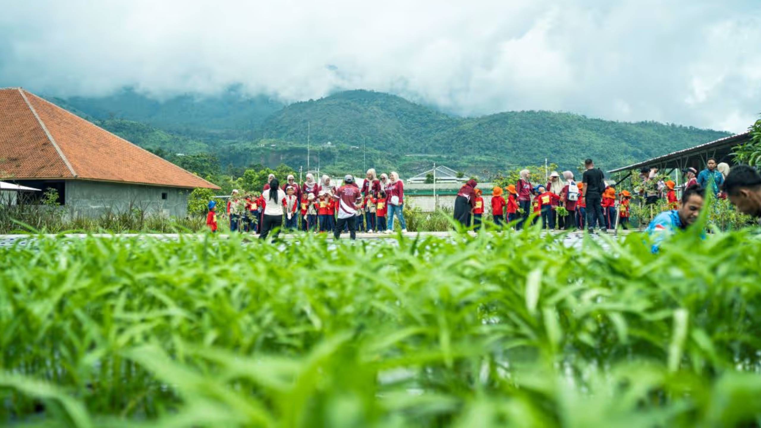 Wisata Edukasi Anak