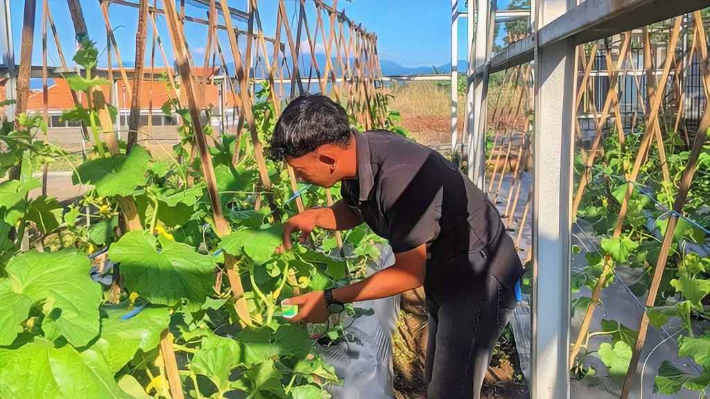 Rekreasi sambil belaja buah dan sayuran langsung memetik ditempat